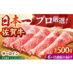 佐賀牛 サーロインスライス500g HBH019