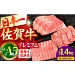 佐賀牛 プレミアム霜降り定期 HBH026