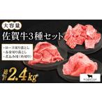 佐賀牛 普段使いセット 焼肉 和牛 黒毛和牛