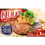 佐賀牛ハンバーグ 5個セット HBH038