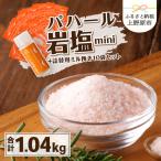 パハール岩塩mini+詰替用ミル挽粉末100g×10袋
