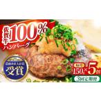 佐賀牛 ハンバーグ5個セット HBH047