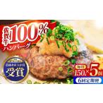 佐賀牛 ハンバーグ5個セット HBH048