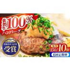 佐賀牛 ハンバーグ10個セット HBH051