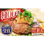 佐賀牛 ハンバーグ10個セット HBH052