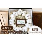 ふわもこ コットンリース ドライフラワー