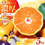 早生みかん 太陽のしずく 5kg