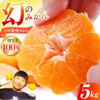 今村温州みかん 5kg