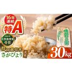 さがびより 玄米 30kg