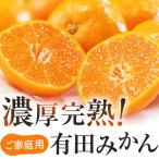 ふるさと納税 AB7137_有田育ちの ご家庭用 完熟 有田みかん 10kg【農家直送】【訳あり】 和歌山県湯浅町