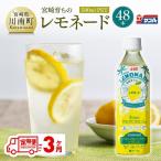 サンA 宮崎育ちのレモネード 500ml