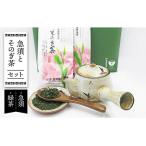 ふるさと納税 急須とそのぎ茶セット (急須×1・緑茶 100g×2) 茶 お茶 緑茶 日本茶 茶葉 東彼杵町/常明窯 [BCX003] 長崎県東彼杵町