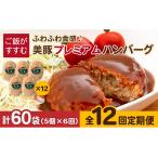 五島美豚プレミアムハンバーグ5個 長崎フードサービス