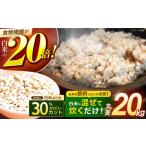 ショッピング雑穀米 ふるさと納税 丸麦(長崎県産)20kg / 麦 麦味噌 雑穀 雑穀米 麦ごはん / 諫早市 / 有限会社伊東精麦所 [AHBU001] 長崎県諫早市