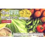 旬の野菜の詰め合わせと栽培期間中農薬不使用の生姜200g付き