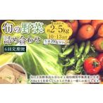 旬の野菜の詰め合わせと栽培期間中農薬不使用の生姜200g付き