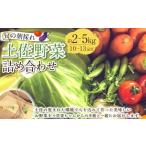 旬の朝採れ土佐野菜詰め合わせ 10~13品目