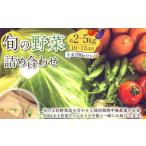 旬の野菜の詰め合わせと栽培期間中 農薬不使用の生姜200g付…