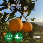 八朔 4kg