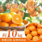 完熟有田みかん 10kg