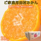 ふるさと納税 【ご家庭用訳あり】田村みかん 10kg【2025年11月下旬以降発送】【先行予約】【UT16】 和歌山県印南町