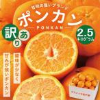 冬の柑橘ポンカン 2.5kg