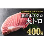 マグロ 天然マグロ 本マグロ 大トロ マグロ刺身