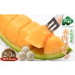 ふるさと納税 【先行予約】北海道森町産赤肉メロン2〜3玉入り(1箱4kg前後)(2025年6月上旬〜8月上旬頃順次発送)<道産ネットミツハシ> 森町 .. 北海道森町