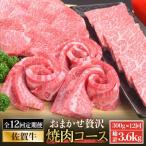 佐賀牛希少部位含む ひとり贅沢焼肉コース