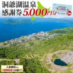 洞爺湖温泉感謝券 クーポン 温泉 リゾート