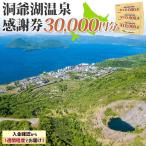 旅行 宿泊 クーポン 15万円分 感謝券 洞爺湖