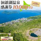 洞爺湖温泉感謝券 クーポン 温泉 リゾート