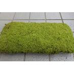 fu.... налог snagoke plate 9 листов 1 комплект Hyogo префектура три дерево город 