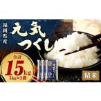 元気つくし 15kg