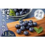 fu.... налог < производство человек прямая поставка > свежий утро брать . сырой голубика 1.5kg l голубика голубика голубика голубика голубика фрукты.. Yamanashi префектура Fuji устье озеро блок 