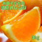 有田育ちの完熟清見オレンジ ご 3kg+200g