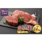 牛肉 ヒレ 定期便 10ヶ月 熊本産 あか牛 ステーキ