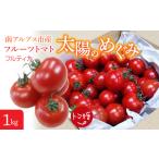 ふるさと納税 高糖度で甘〜い！フルーツトマト「太陽のめぐみ」1kg 6-180 ALPBI001 | 高糖度  おすすめ 産地直送 新鮮 フレッシュ 高栄養.. 山梨県南アルプス市