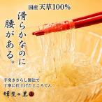 ところてん 手突きさらし 三杯酢味 伊豆天草