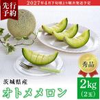 213 レノンメロン 秀品 大玉 2玉