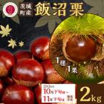 029 飯沼栗 2kg