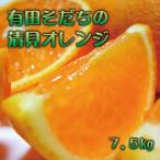 有田育ちの完熟清見オレンジ ご 7.5kg+200g