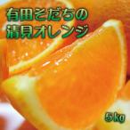 有田育ちの完熟清見オレンジ ご 約5kg+200g