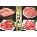 仙台名物 特選セット 古川ミート