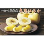 ふるさと納税 りんご【数量限定・先行予約】岩手が生んだ究極のりんご 冬恋はるか 2.5kg【570】 岩手県花巻市