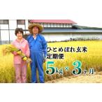 減農薬栽培 ひとめぼれ玄米5kg