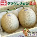 メロン 12ヶ月 定期便 クラウン 規格外 特大玉 2玉