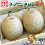メロン 3ヶ月 定期便 クラウン 規格外 特大玉 2玉