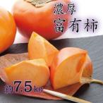 濃厚 富有柿 秀品 L~3Lサイズ 約7.5kg入り