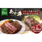 牛肉 ステーキ 定期便6回 くまもと あか牛